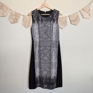 Black and White Dress with Mesh Detail Snakeskin